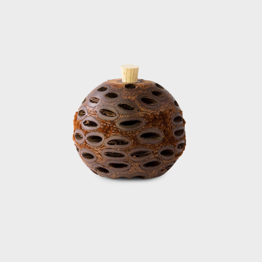 Naturlea aromatherpy banskia diffuser. Small round wooden pod to contain pure essential oils for slow release.